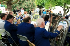 trombones__tubas___trumpets